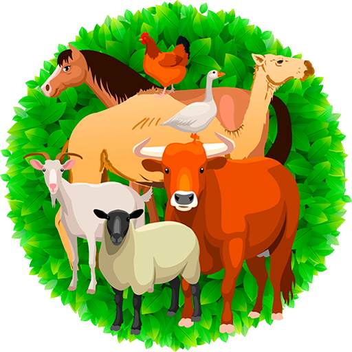 Mal Bazar 1.1.7