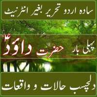 Hazrat Dawood A.S icon
