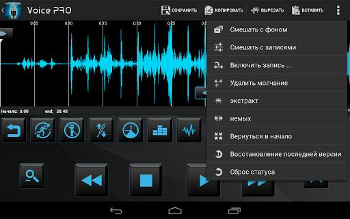 Voice PRO скриншот 1