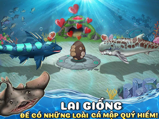 Shark World-Thế giới cá mập screenshot 4
