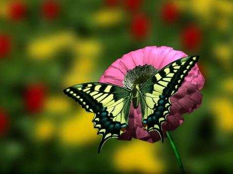 3D Flower Backround Wallpapers screenshot 1