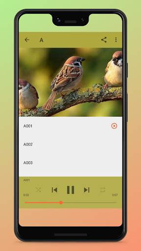 Bird Songs Ringtones screenshot 2