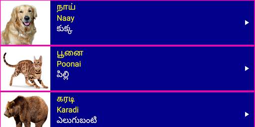 Learn Tamil From Telugu screenshot 11