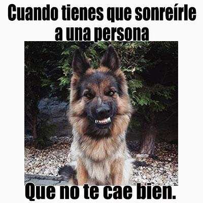 Imagenes chistosas screenshot 9