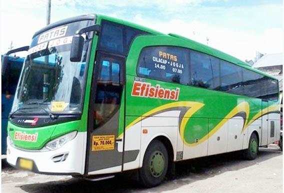 Limited Patas Bus screenshot 1