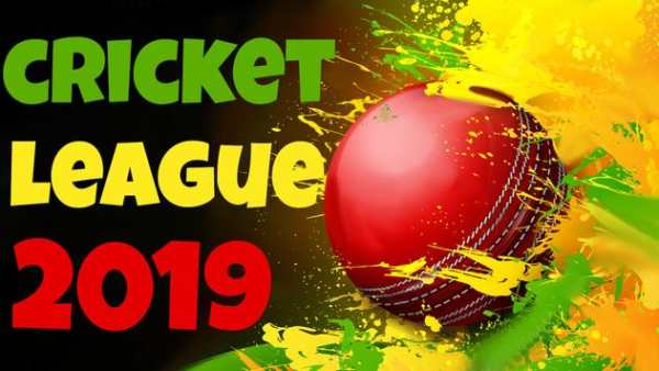 Pakistan Cricket League screenshot 3