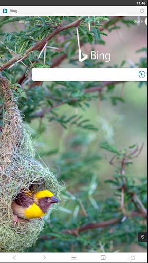 TC Browser screenshot 1