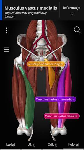 Anatomyka - Anatomia 3D screenshot 2
