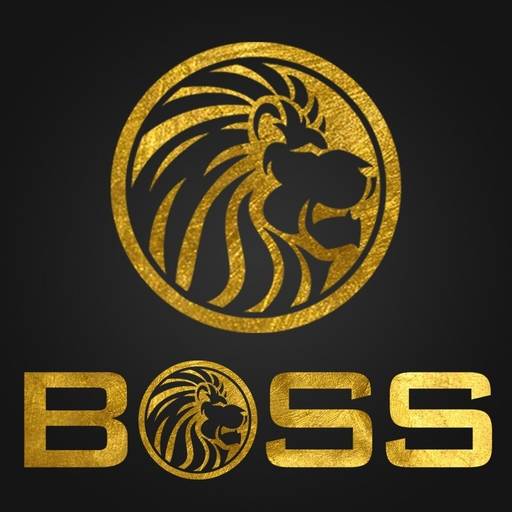 Boss pro 3.0.1