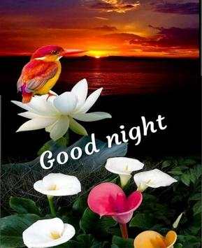 Romantic Good Night Love images Gif screenshot 2