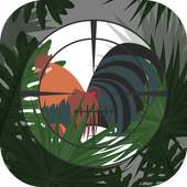 Bird Hunting Games. Sniper Hunter 1.0
