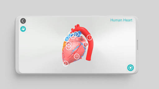 Anatomy 3D screenshot 5