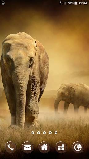 Savanna Animals Theme screenshot 2