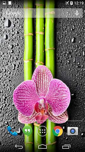 Orchid And Bamboo Wallpaper screenshot 1