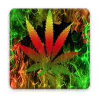 Rasta Fire Keyboard logo