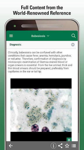 MSD Vet Manual screenshot 3