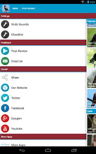 Birds of Prey Sounds Free screenshot 16