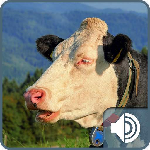 Cow Ringtones 1.0
