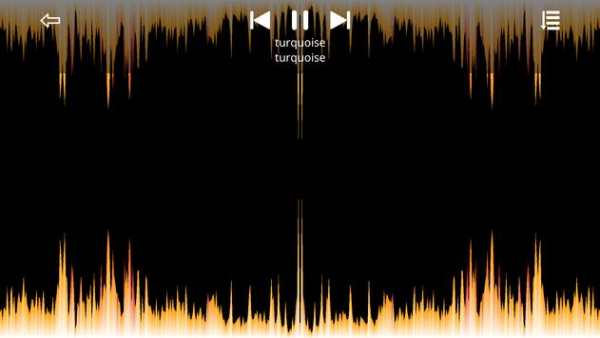 Music Player: ROZ screenshot 10