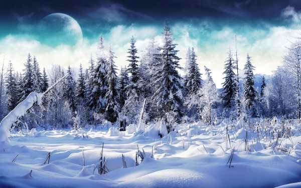 Snow on the Go Live Wallpaper screenshot 6