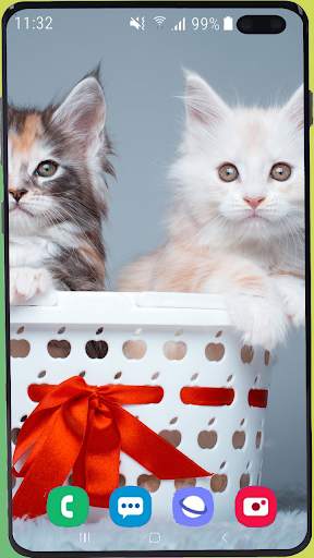 Cute Cat Wallpaper Best HD скриншот 15