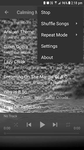 Calming Music screenshot 2