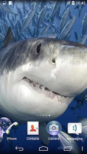 Shark Live Wallpaper screenshot 3