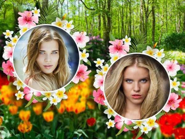 Garden Photo Frame Dual screenshot 4