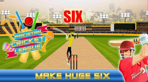 PSL 5 Cricket 2020: Pakistan Super League Season screenshot 2