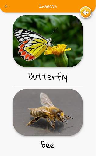 Sound app for baby kids FREE - Kiddoo screenshot 4