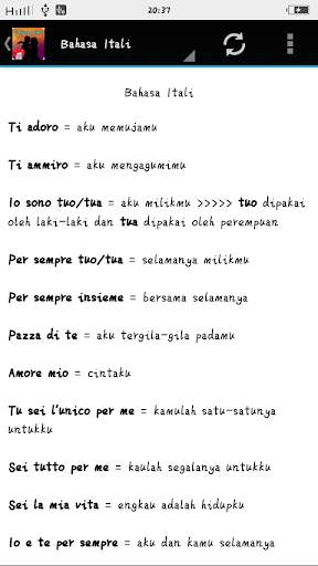 Kata kata Cinta Romantis 8 Bahasa screenshot 7