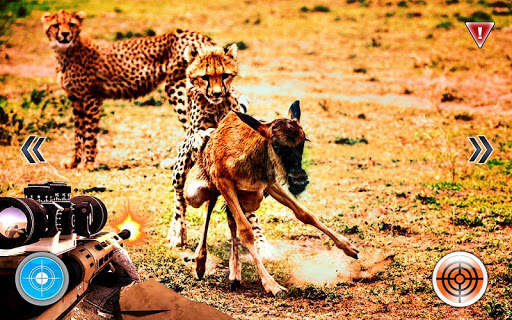 Cheetah Hunter 2016 screenshot 6