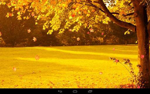 Autumn Wallpaper screenshot 18