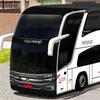 Skins World Bus Driving Simulator