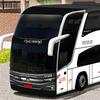 Skins World Bus Driving Simulator 9.8
