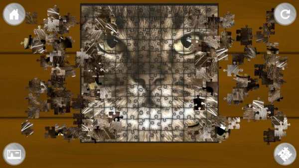 Jigsaw Puzzle Funny Cats screenshot 2