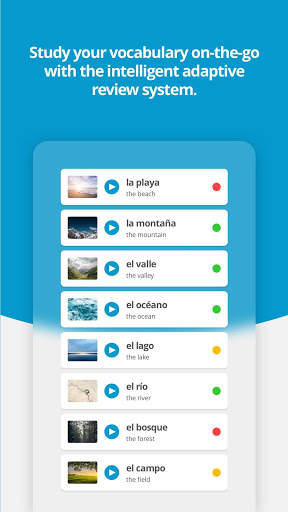 Verbling screenshot 4