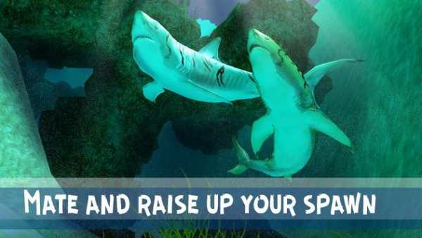 Tiger Shark Attack Simulator screenshot 3