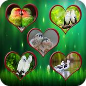 Pair Of Birds Wallpapers – Birds Couple Wallpapers 1.0
