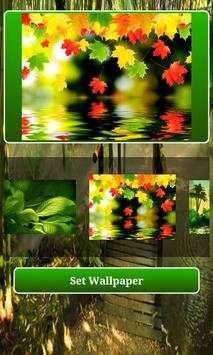 Natural wallpaper HD screenshot 5