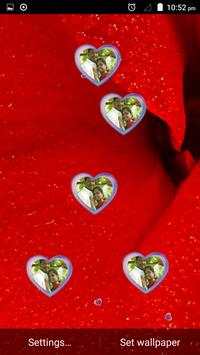 Heart photo wall paper screenshot 2