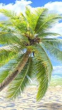 palm Tree wallpaper 2 تصوير الشاشة