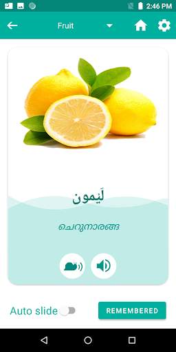 Malayalam Arabic Translator скриншот 4