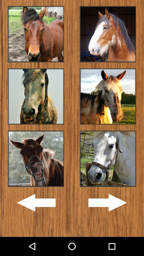 Funny Horse Farm Sounds screenshot 3
