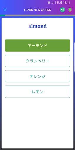 English Picture Vocabulary Rocket screenshot 5