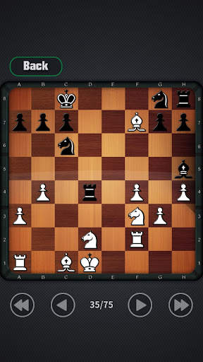 bermain catur screenshot 6