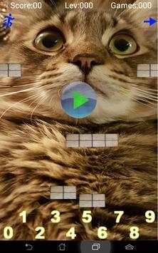 taquito game - math free game screenshot 7