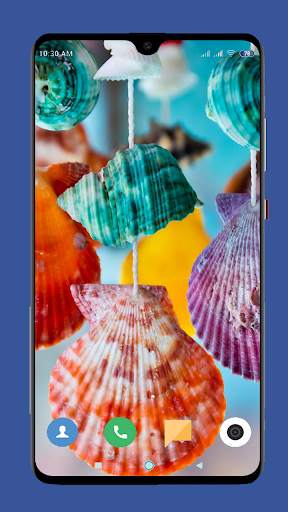 Seashell Wallpaper HD screenshot 3