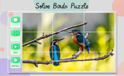 Bird sound and puzzle screenshot 6