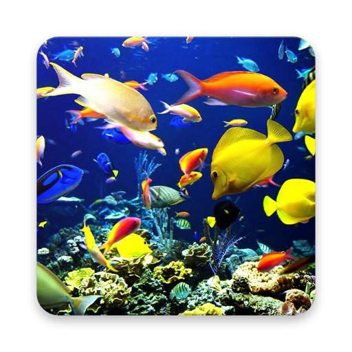 Aqua World 2.0